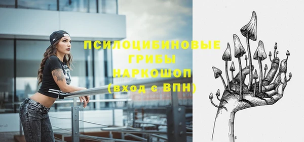 сатива Белоозёрский