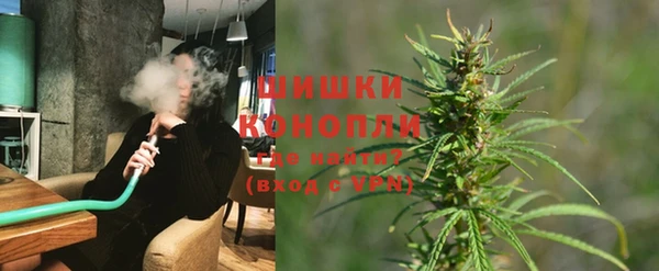 сатива Белоозёрский