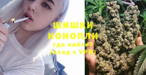 сатива Белоозёрский