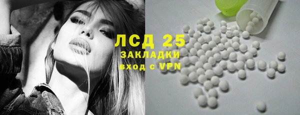 сатива Белоозёрский