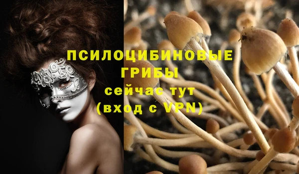 мяу мяу мука Белокуриха