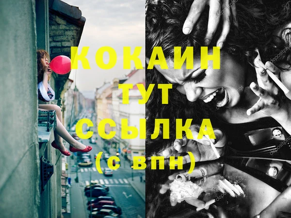 мяу мяу мука Белокуриха