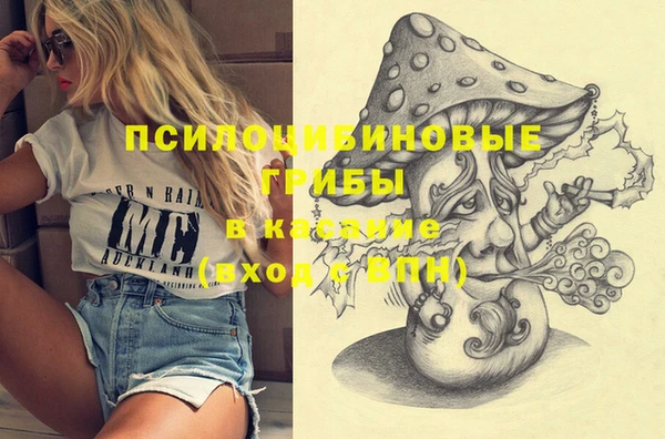 мяу мяу мука Белокуриха