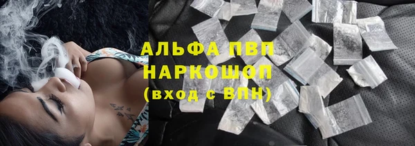 сатива Белоозёрский