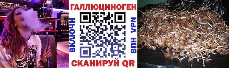 Галлюциногенные грибы мухоморы  Гусев 