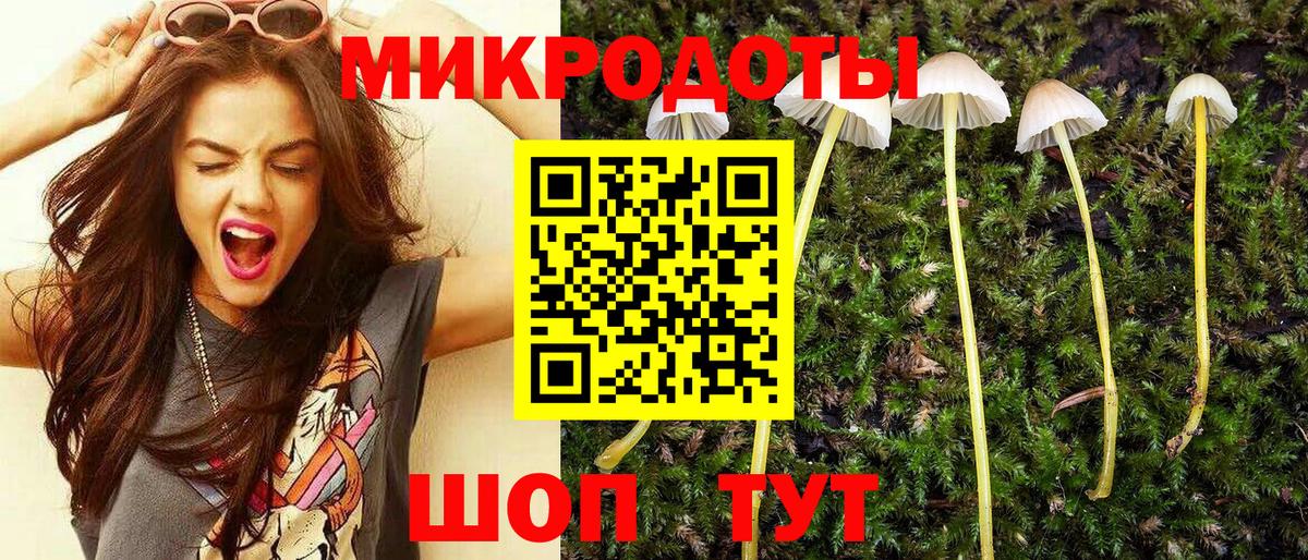 Галлюциногенные грибы ЛСД Гусев