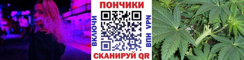 наркотики  Гусев  Канабис сатива 